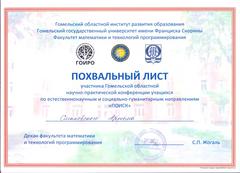 Достижения