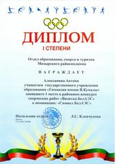 Достижения